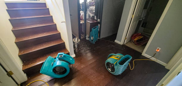 Best Residential water damage restoration  in Pemberton Heights, NJ