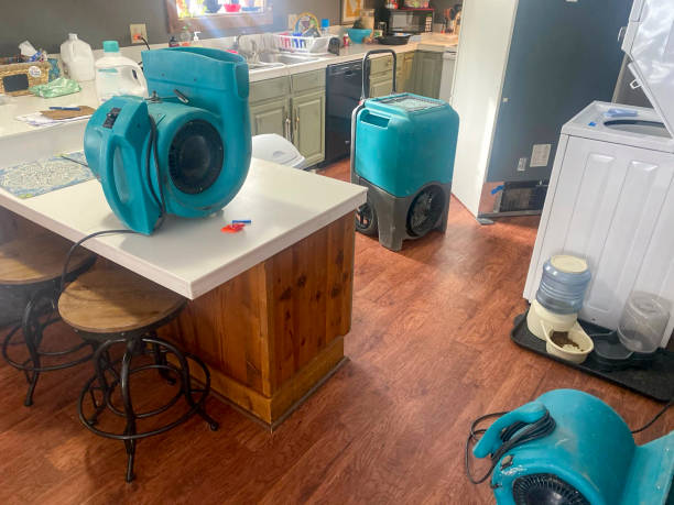 Best Mold removal after water damage  in Pemberton Heights, NJ