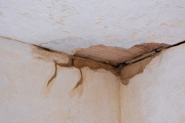 Best 24/7 water damage repair  in Pemberton Heights, NJ