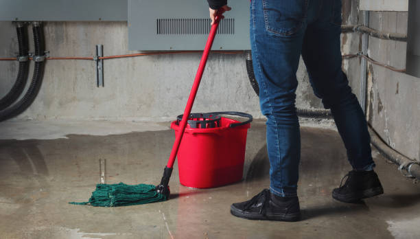 Best Water damage contractors near me  in Pemberton Heights, NJ