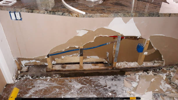 Best Basement water damage restoration  in Pemberton Heights, NJ