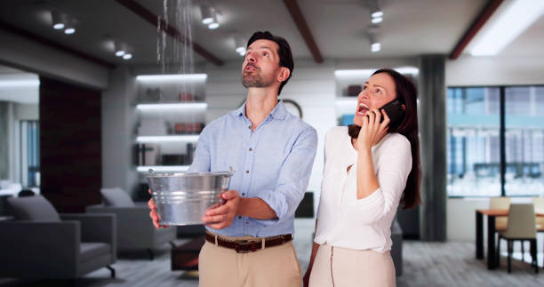 Best Local water damage restoration  in Pemberton Heights, NJ